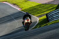 Oulton-Park-20th-March-2020;PJ-Motorsport-Photography-2020;anglesey;brands-hatch;cadwell-park;croft;donington-park;enduro-digital-images;event-digital-images;eventdigitalimages;mallory;no-limits;oulton-park;peter-wileman-photography;racing-digital-images;silverstone;snetterton;trackday-digital-images;trackday-photos;vmcc-banbury-run;welsh-2-day-enduro